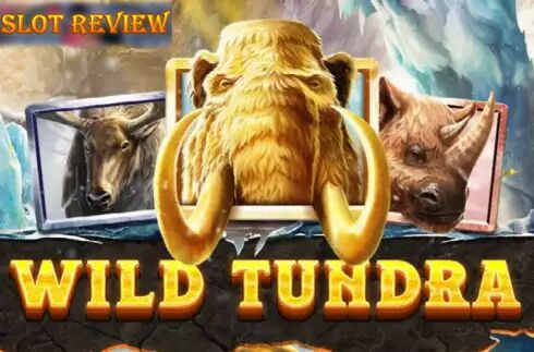 Wild Tundra slot